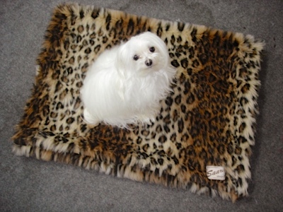 Cheetah Faux Fur Pet Bed - Sku 158