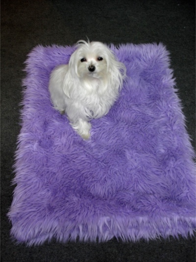 Lilac Shag Pet Bed - Sku 472